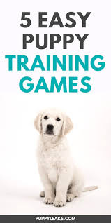 5 Easy Puppy Training Games Puppy Leaks In 2020 Puppy Training Training Your Puppy Dog Training