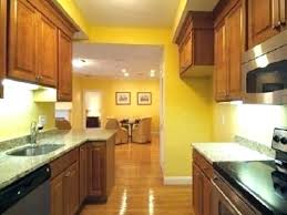 Kitchen Paint Colors With Dark Cabinets Comovamos Co