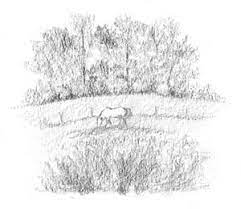 Difference between drawing and sketching. The Difference Between Sketching And Drawing Carol S Drawing Blog
