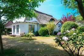 Ferienhaus Ankerherz Das Reetdach Haus Am Ostseestrand Haus Mieten Ferienhaus Haus Am Strand