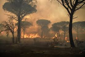 Selon le point d'information émanant du préfet du var, aujourd'hui à 6 h 30, le feu n'est toujours pas maîtrisé. Dxisfsjyklze6m