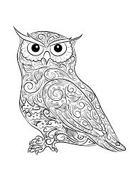 Owls are wise, owls are regal and owls are cute. Free Owl Coloring Pages For Adults Printable To Download Owl Coloring Pages