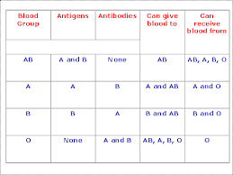 Immunohematological Research