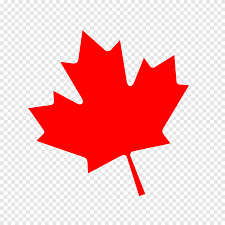 Canada's national flag features a vertical triband in the colors of red and white. Flag Of Canada Maple Leaf Canada Day Canada Flag Maple Png Pngegg