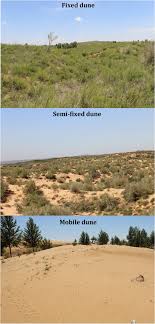 Mulch, topsoil and more to customers all over south alabama (mobile, . Soil N Retention And Nitrate Leaching In Three Types Of Dunes In The Mu Us Desert Of China Scientific Reports