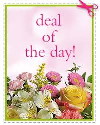 Maybe you would like to learn more about one of these? Modern Flowers Delivery Tampa Fl A Special Rose Florist