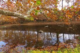 Maybe you would like to learn more about one of these? Cabins And Candlelight Near Indianapolis Romantic Getaways In Indiana