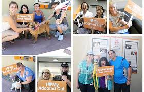 Whether it's a desire to add some company to a quiet household, to fill the void left by a previous pet's death, or simply to keep the kids occupied with a new addition, pet adoptions across colorado have exploded. 4th Of July La Free Pet Adoption Best Friends Animal Society