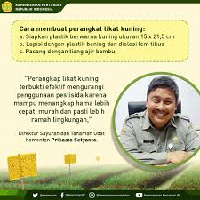 Berikut adalah daftar orang yang pernah menjabat sebagai menteri hukum dan hak asasi manusia. Pagi Sobatani Kementerian Pertanian Republik Indonesia Facebook