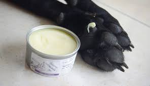 Voici Une Nouvelle Recette Home Made Pour Chien Le Baume Ultra Nourrissant Et Protecteur Pour Entretenir Les Nourriture Chien Shampoing Chien Diy Pour Chien
