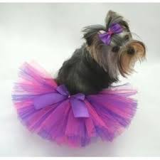 Falta Tu Tu 5 000 Dog Tutu Spoiled Pets Pink Dog