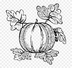 Fun, printable, free coloring pages can help children develop important skills. Marrow Squash Vegetable Coloring Page For Kids Printable Pumpkin Clip Art Free Free Transparent Png Clipart Images Download