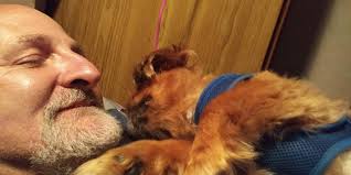 How to find a Pekingese puppy for a Vietnam veteran in Mobile, Alabama?