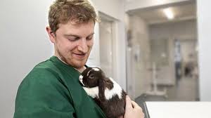 In the meantime, the risk to both wild rabbits and pets exposed to the virus is high. Taking Your Rabbit To The Vet Pet Advice Medivet Uk