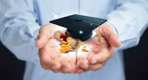 bank of baroda education loan all you need to know