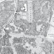 PDF) Principles and Principes: William Lyman Phillips and the palm  collection at Montgomery