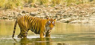 Image result for bharatpur भरतपुर | BHARATPUR  | IBNTRO | TOURIST SPOT | IN HINDI 