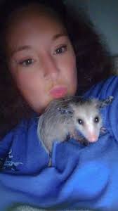 I wish all creatures (humans as well) could feel as cozy, safe and loved as  Eva, our little blind ambassador possum. She was born without eyes, but I  have never seen a