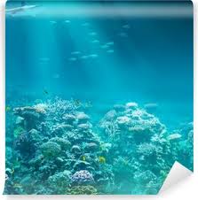 For a calming and peaceful vibe, go with nature wall murals. Underwater Wall Murals Change Your Space Pixers We Live To Change