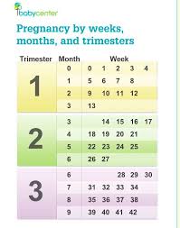 33 Weeks Pregnant In Months Chart Www Bedowntowndaytona Com