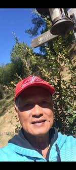 Nangita kog room for rent, Albany area.. Room/ flatmate...