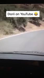 Everybody gets high original animation meme (read desc). Elagiorgi Hashtag Videos On Tiktok
