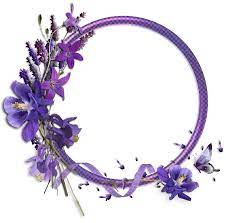 Png1 Png Imagem Png 1600 1585 Pixels Flower Border Floral Border Floral Wreaths Illustration