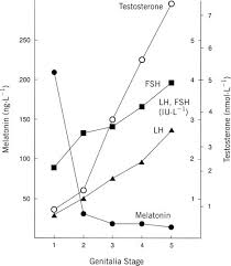 Physiology Of Puberty Glowm