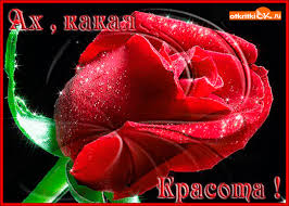 Ах какая красота - Скачать бесплатно