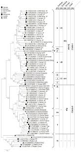 Toughest matchupsthese champions counter camille top. Viruses Free Full Text Zoonotic Hepatitis E Virus Classiï¬cation Animal Reservoirs And Transmission Routes Html