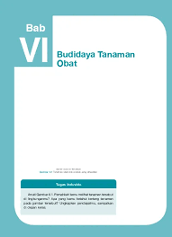Tugas menyelenggarakan perumusan dan pelaksanaan kebijakan di bidang. Bab Vi Prakarya Kelas 7 Database Www Dadangjsn Blogspot Com