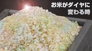 ご飯 か たい