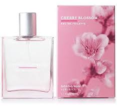 Bath And Body Works Cherry Blossom Perfume Is The Smell Equivalent Of Wearing Glitter Nail Polish Bath And Body Works Bath And Body Cherry Blossom Fragrance