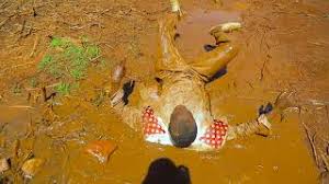 Play and download embarambamba songs mp3 songs from multiple sources at aiomp3. Download Embarambamba Songs 3gp Mp4 Codedwap