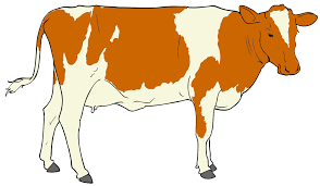 Download File Cow Clipart 01 Svg Wikipedia