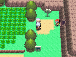 Pokémon legends arceus and pokémon shining diamond and brilliant pearl announced on the eve of the nintendo series' 25th. Proto Pokemon Diamond And Pearl English Kiosk Demo The Cutting Room Floor