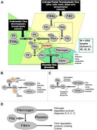 Image result for Plasmic Score