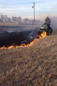 Maybe you would like to learn more about one of these? Picture Imp Fire Lawn Mower Transparent Aluminium Net