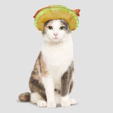 I skipped lunch and ate a fish taco at your mom's house. Fish Taco Headpiece Halloween Cat Costume Hyde Eek Boutique Target