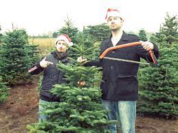 Cut Down A Christmas Tree In Thurston County Thurstontalk