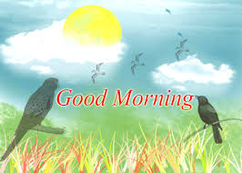 Graphics interchange format (gif) images began circulating the internet in the 1980s, and the. Best Good Morning Gif Free Download Free Gif Animations