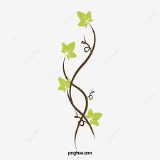 Leaf Separators Vector Division Line Vertical Line Split Wire Material Png Transparent Clipart Image And Psd File For Free Download Leaf Background Clip Art Prints For Sale
