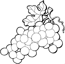 Trauben Malvorlage Coloring And Malvorlagan