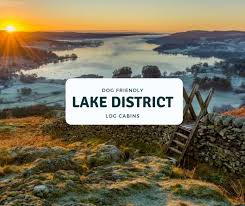 We did not find results for: Luxury Dog Friendly Log Cabins Lodge Breaks In The Uk