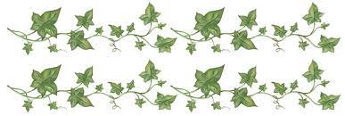 Leaves Drawing Vine Drawing Ivy Wall