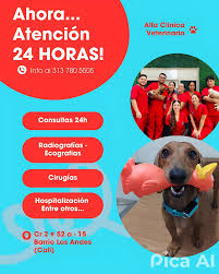 Clínica Veterinaria Alfa Urgencias 24 horas