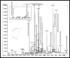 Image result for Anisotes sessiliflorus