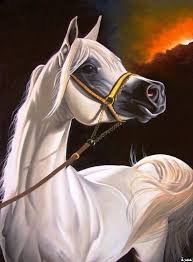 horse خيل horse artwork horse drawings equine artwork