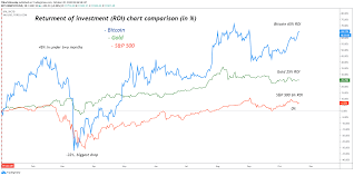 You can use an online broker to invest in bitcoin. Bitcoin Gold And S P 500 Return Of Investment Comparison For Bitstamp Btcusd By Tiborvrbovsky Tradingview