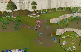 His eye upon you reward from this quest is twitching eyeball. Osrs Pirate S Treasure Runescape Guide Runehq